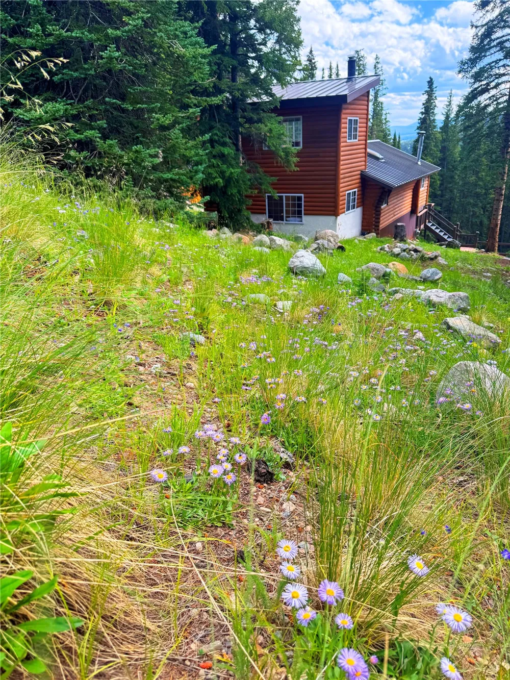 926 Nuthatch Drive Alma, CO 80420