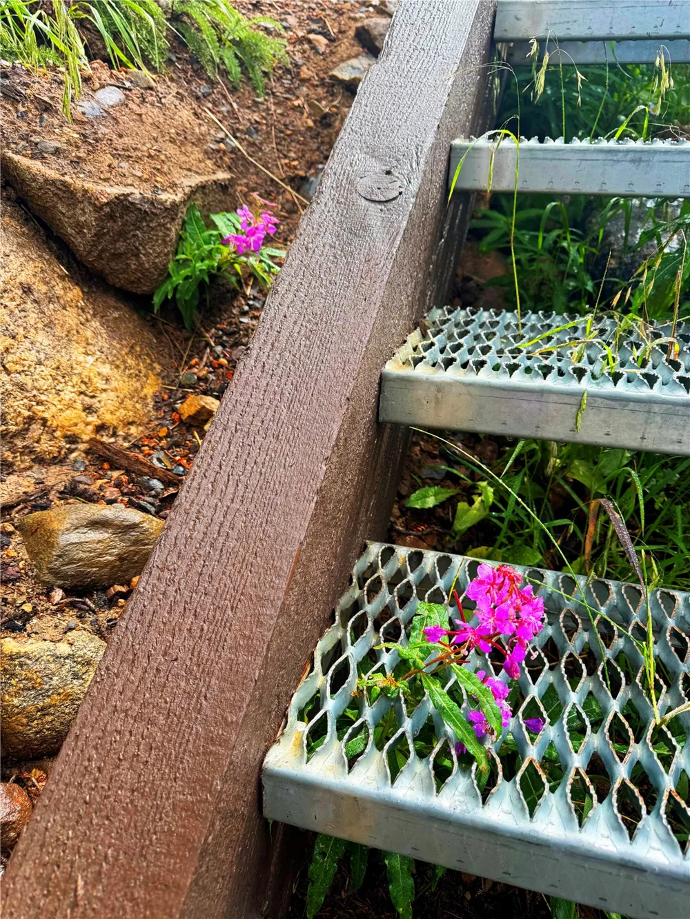 926 Nuthatch Drive Alma, CO 80420