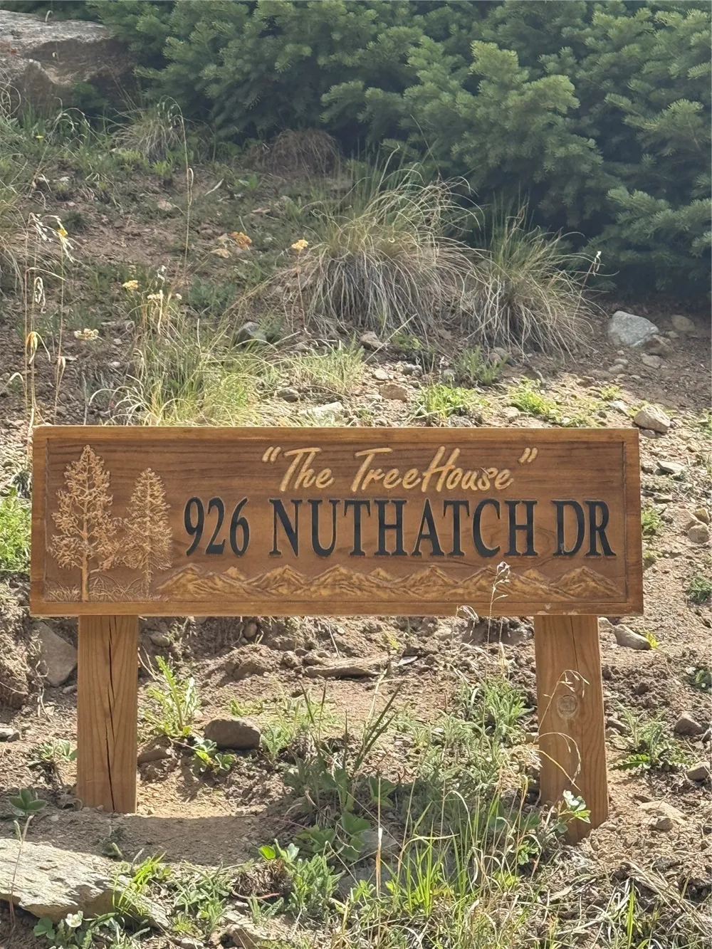 926 Nuthatch Drive Alma, CO 80420