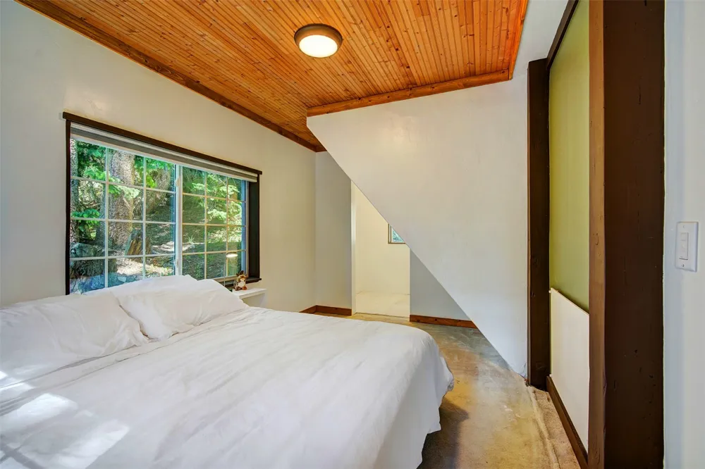 926 Nuthatch Drive Alma, CO 80420