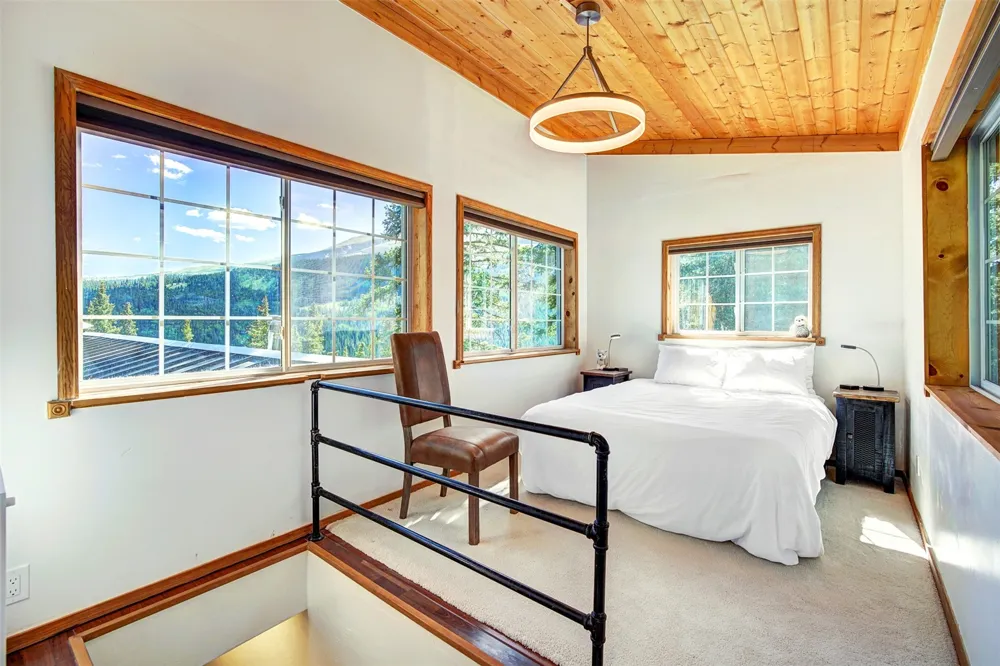 926 Nuthatch Drive Alma, CO 80420