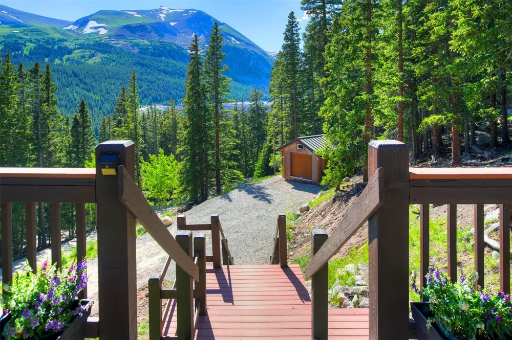 926 Nuthatch Drive Alma, CO 80420