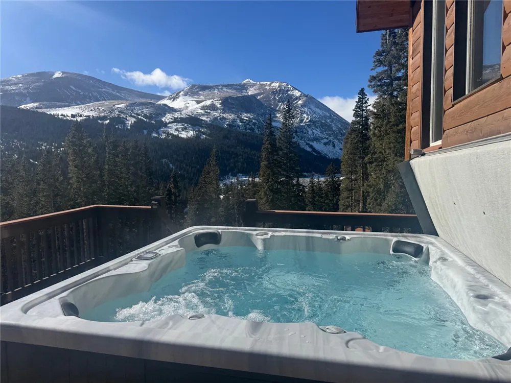 926 Nuthatch Drive Alma, CO 80420