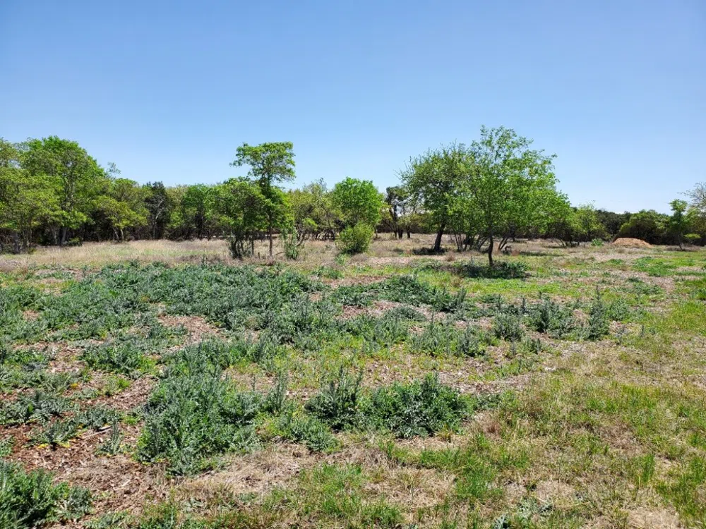 16353 Charlya Drive Temple, TX 76502