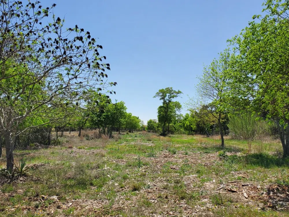 16353 Charlya Drive Temple, TX 76502