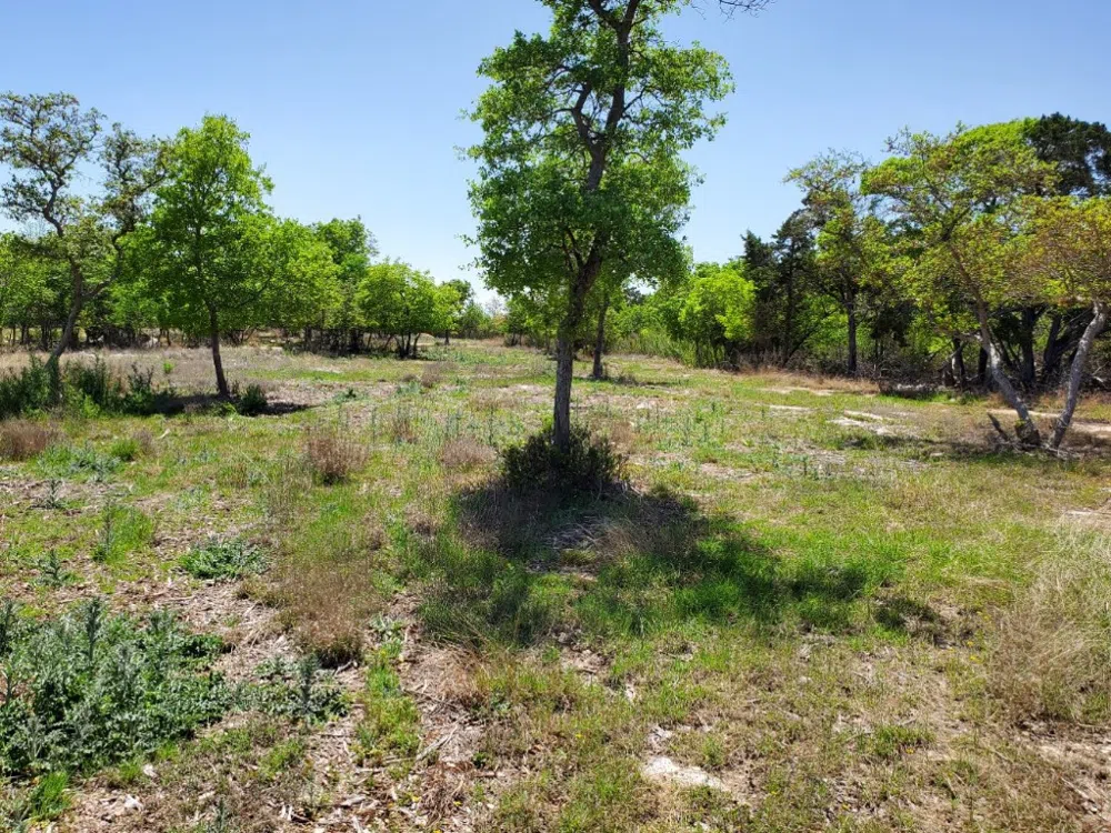 16353 Charlya Drive Temple, TX 76502