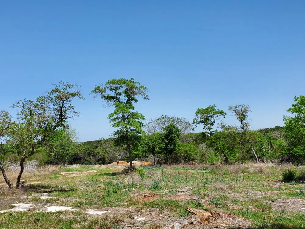 16353 Charlya Drive Temple, TX 76502