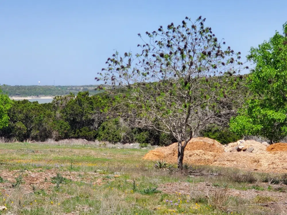 16353 Charlya Drive Temple, TX 76502