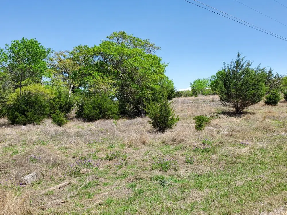 16353 Charlya Drive Temple, TX 76502