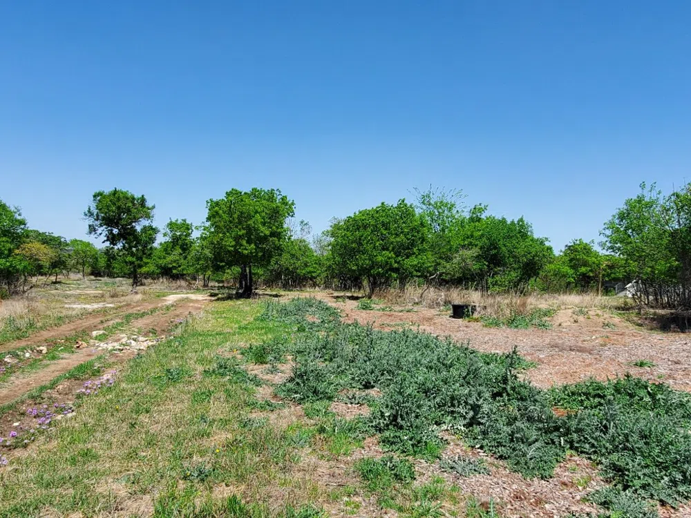 16353 Charlya Drive Temple, TX 76502