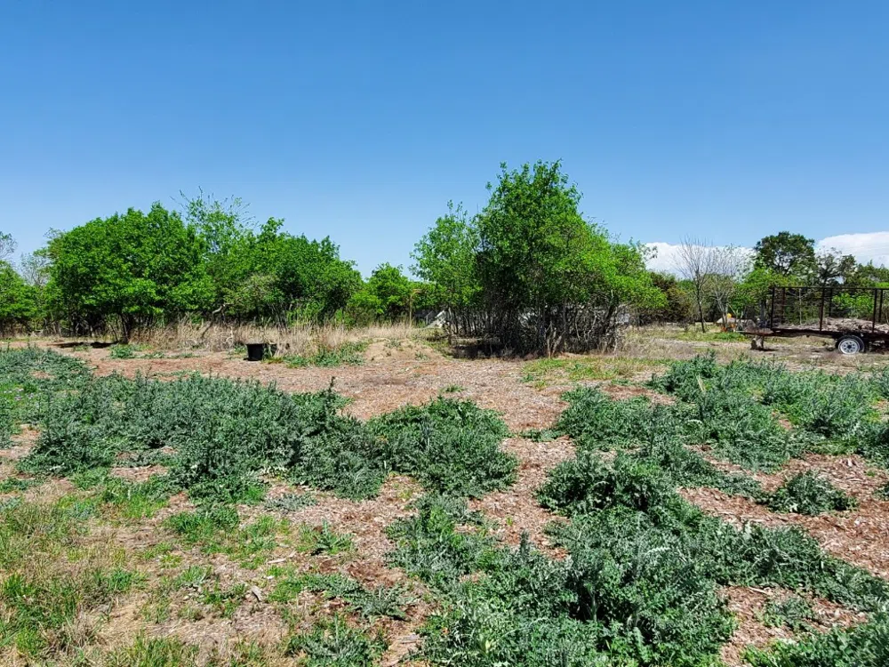16353 Charlya Drive Temple, TX 76502