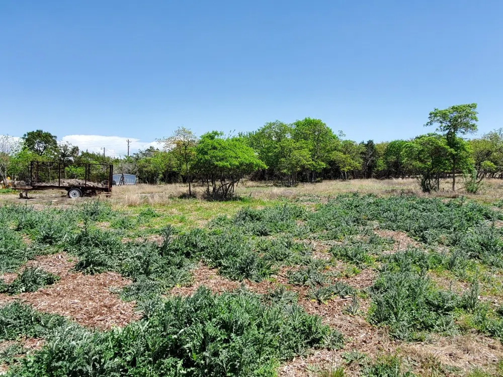 16353 Charlya Drive Temple, TX 76502