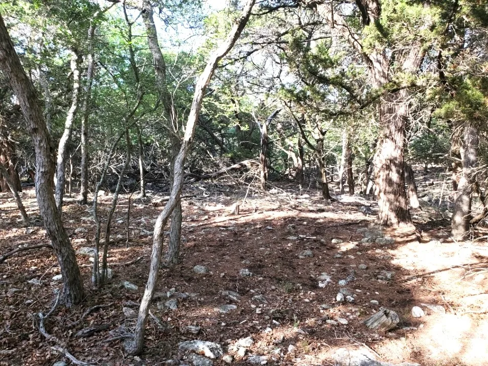 16353 Charlya Drive Temple, TX 76502