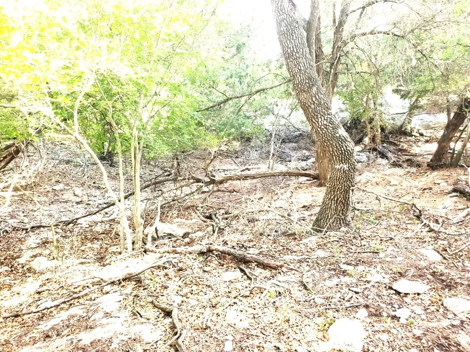16353 Charlya Drive Temple, TX 76502