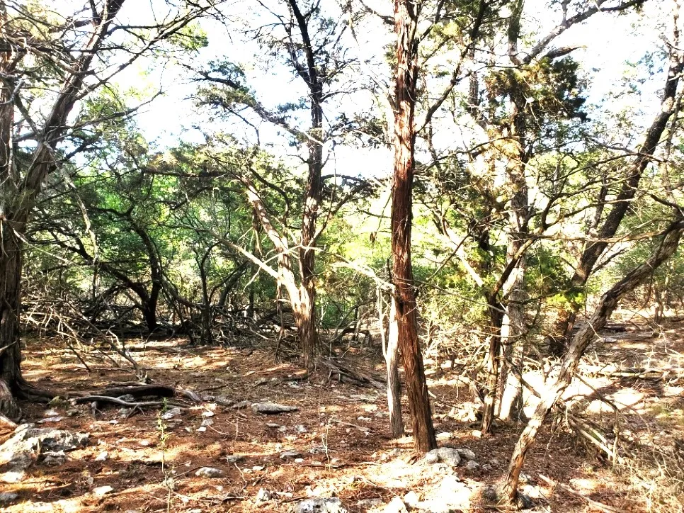 16353 Charlya Drive Temple, TX 76502