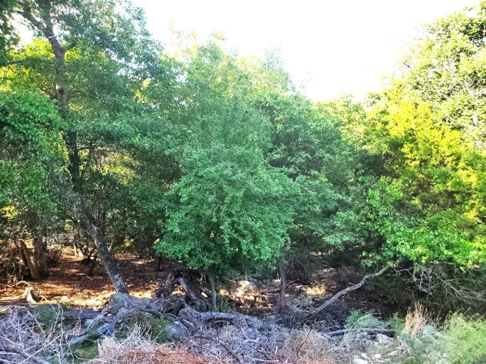 16353 Charlya Drive Temple, TX 76502
