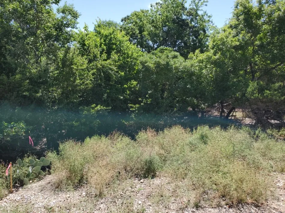 16353 Charlya Drive Temple, TX 76502