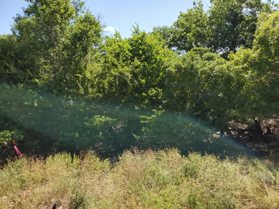 16353 Charlya Drive Temple, TX 76502