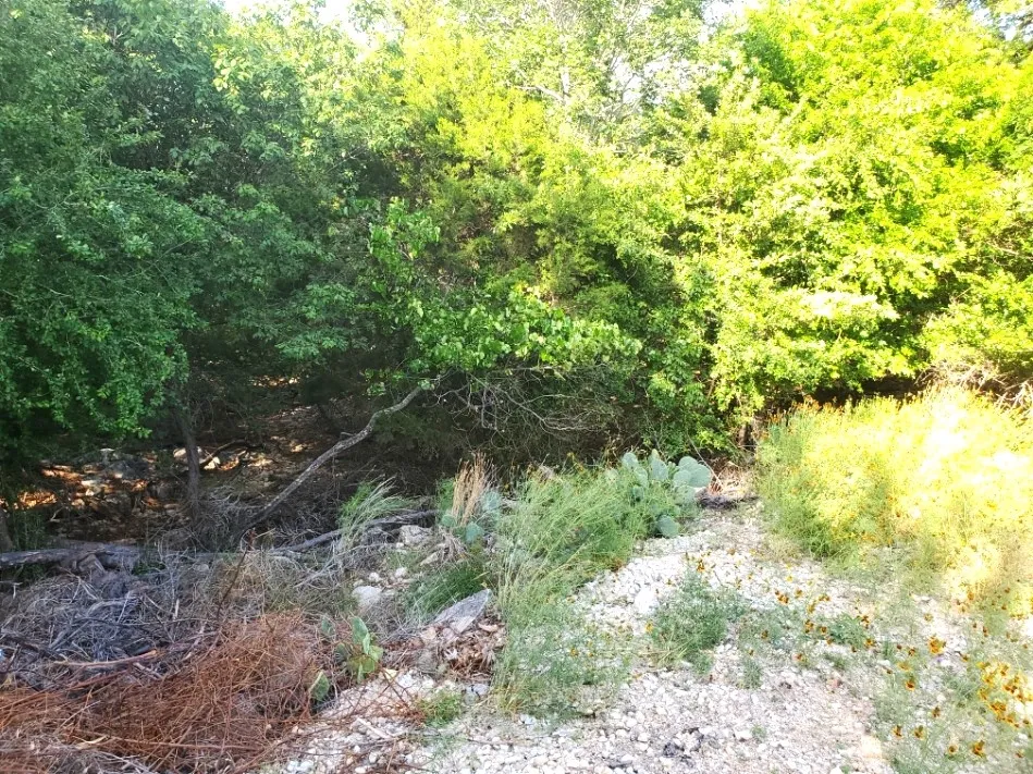 16353 Charlya Drive Temple, TX 76502