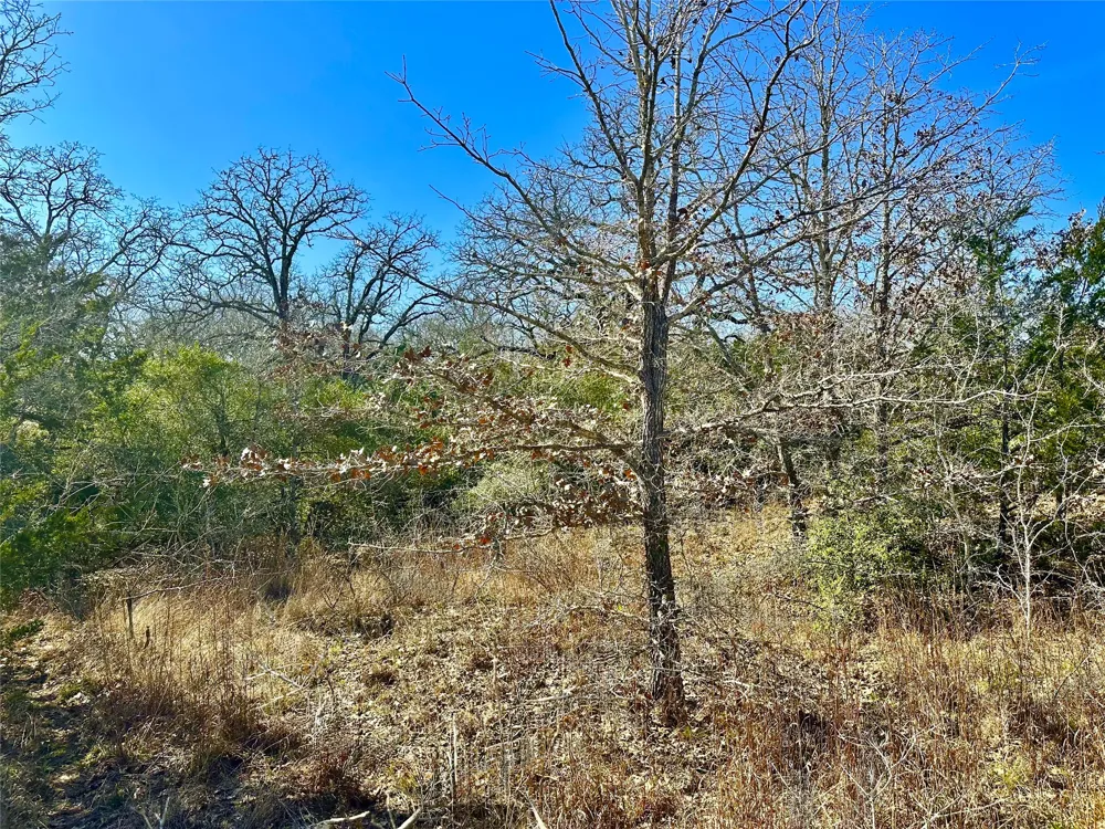 Address Not Shown Waelder, TX 78959