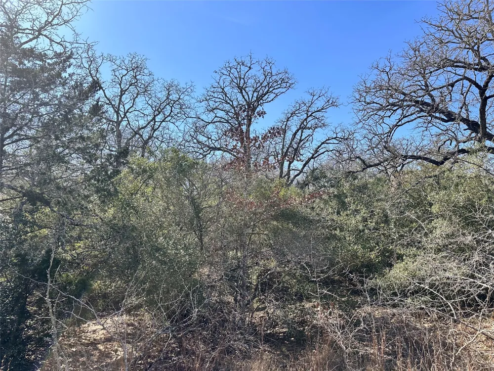 Address Not Shown Waelder, TX 78959