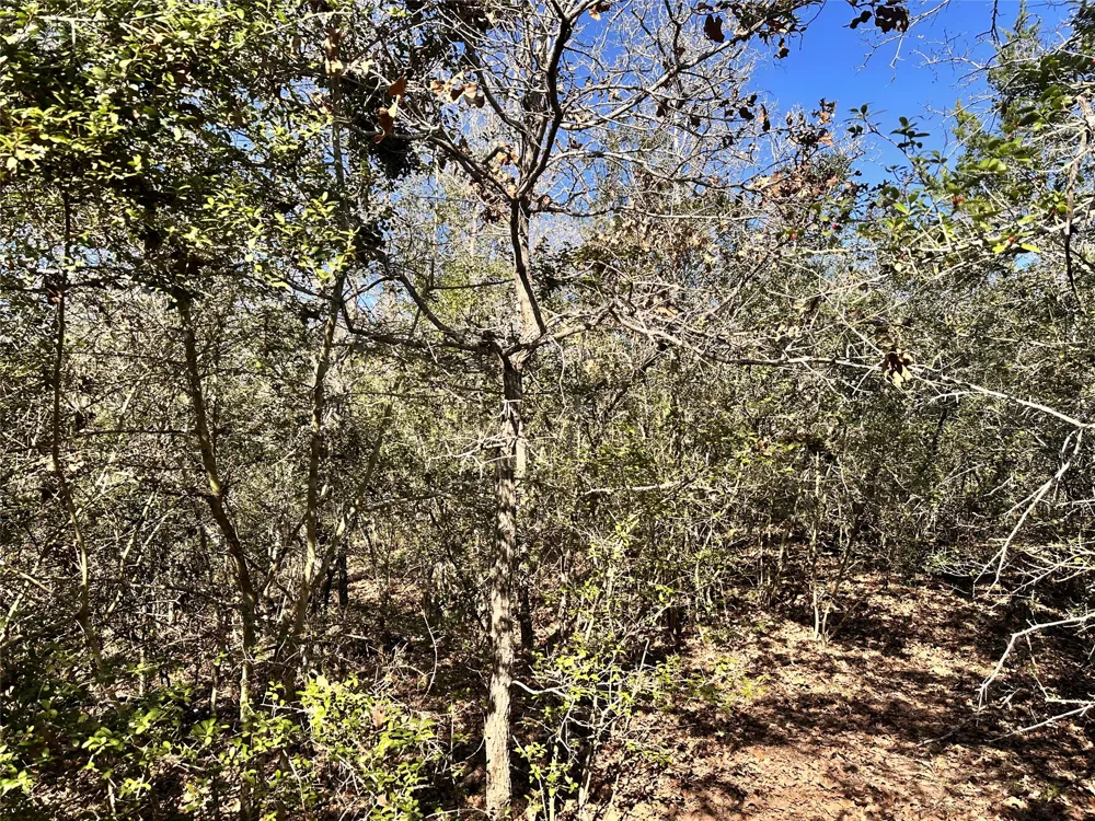Address Not Shown Waelder, TX 78959