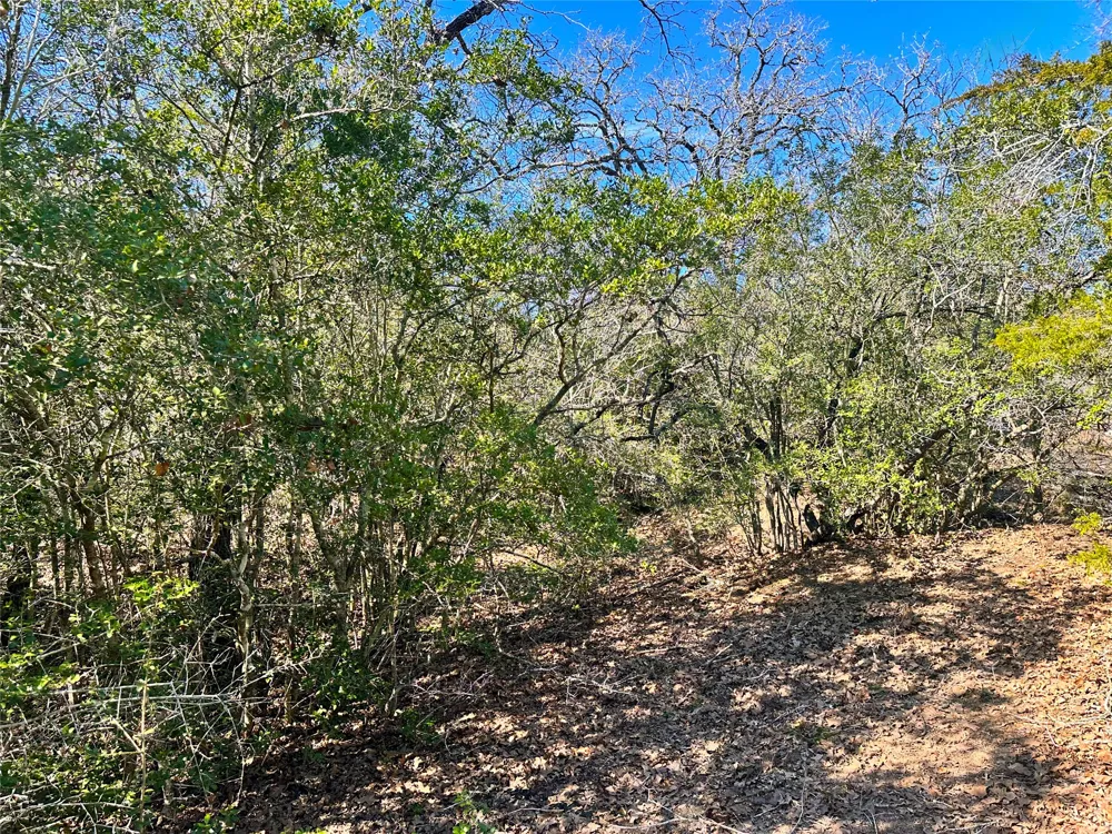 Address Not Shown Waelder, TX 78959