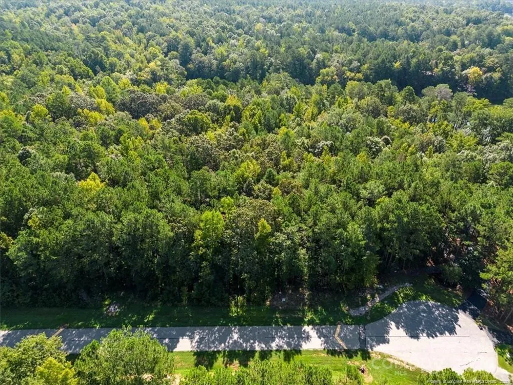 Lot 53 State Lane Rockingham, NC 28379