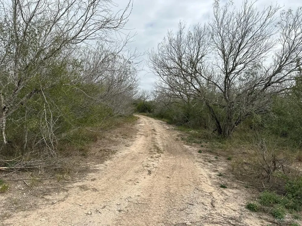 TBD CR 406 Premont, TX 78390