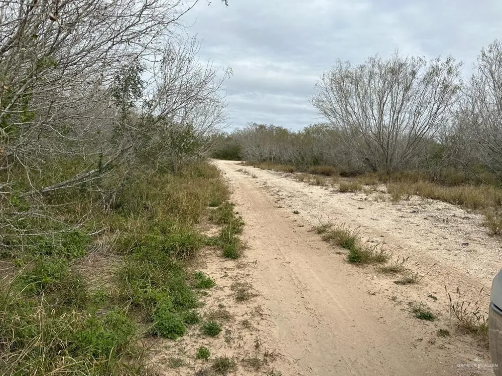 TBD CR 406 Premont, TX 78390