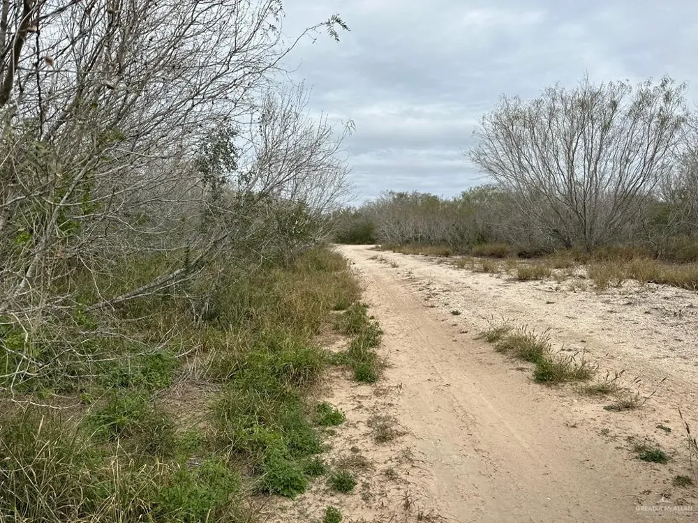 TBD CR 406 Premont, TX 78390