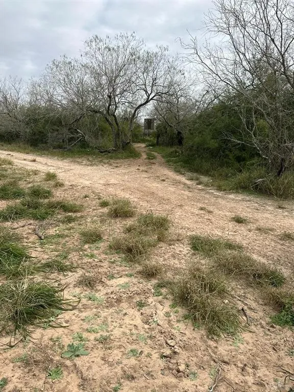TBD CR 406 Premont, TX 78390