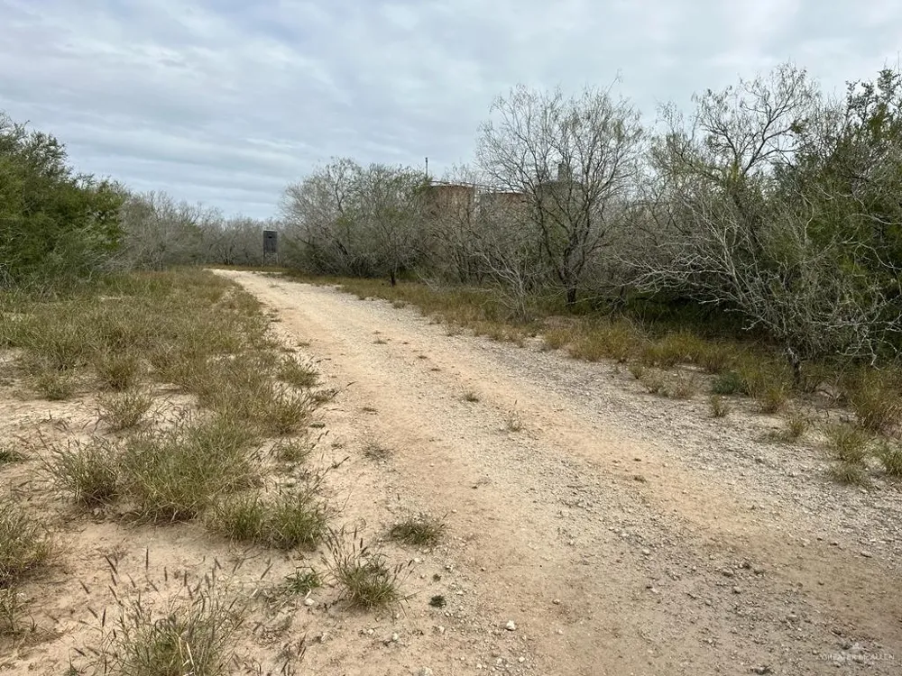 TBD CR 406 Premont, TX 78390