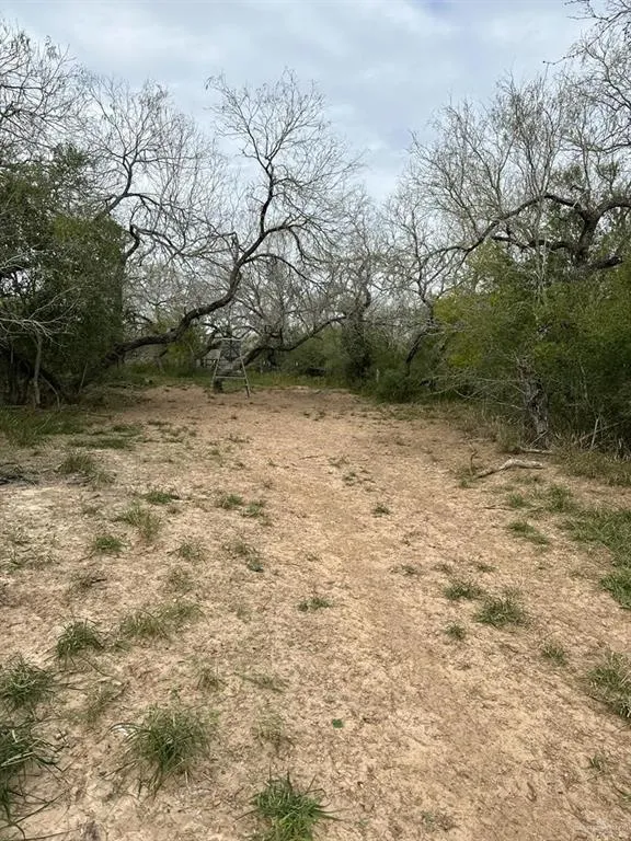 TBD CR 406 Premont, TX 78390