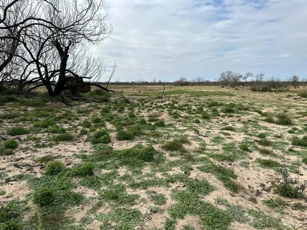 TBD CR 406 Premont, TX 78390