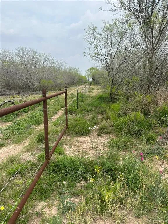 TBD CR 406 Premont, TX 78390