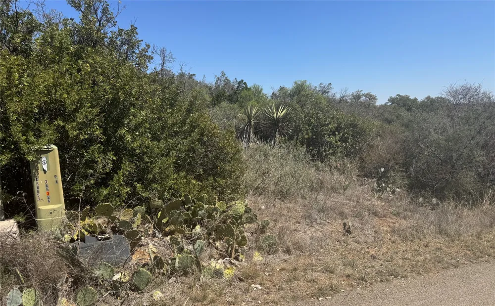 56 War Bonnet Ridge Kingsland, TX 78639