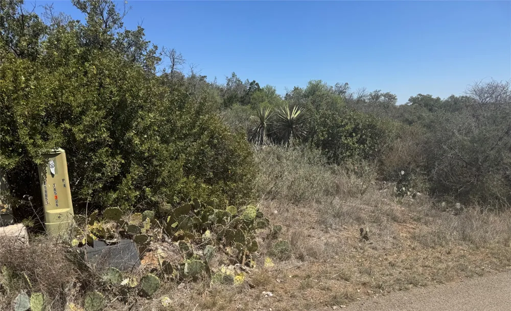 56 War Bonnet Ridge Kingsland, TX 78639
