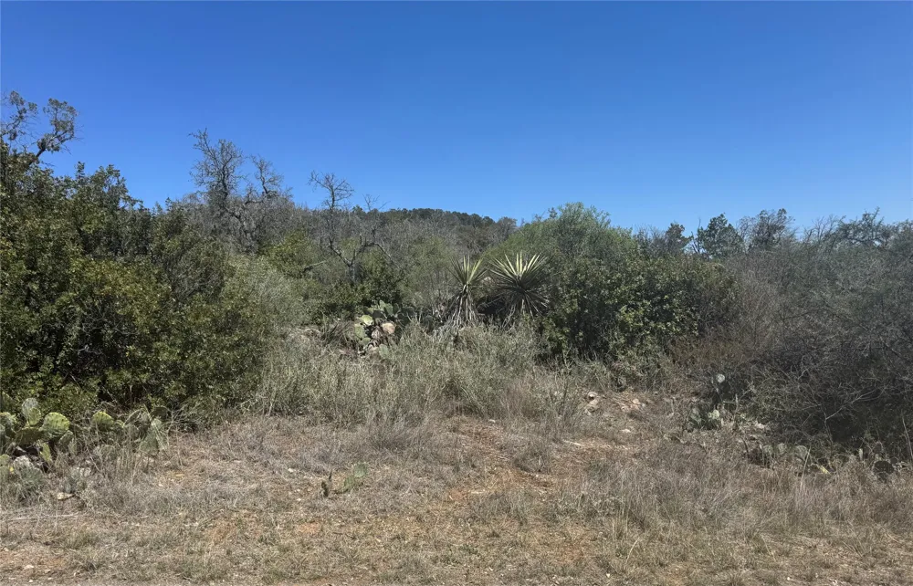 56 War Bonnet Ridge Kingsland, TX 78639
