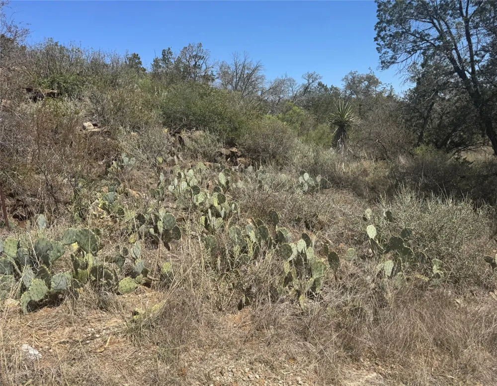 56 War Bonnet Ridge Kingsland, TX 78639