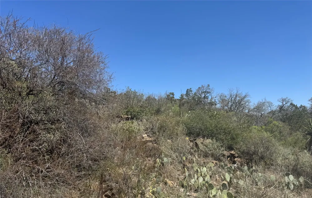56 War Bonnet Ridge Kingsland, TX 78639