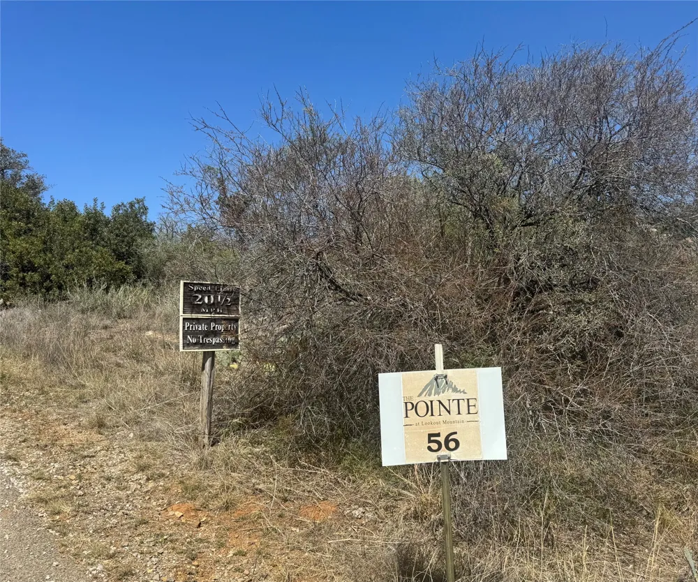 56 War Bonnet Ridge Kingsland, TX 78639