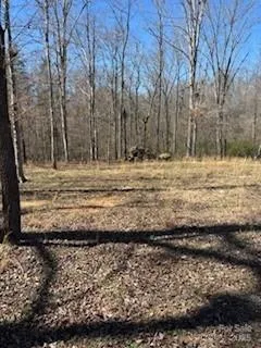1639 +1643 Mallard Bay Drive #17 & 18 York, SC 29745