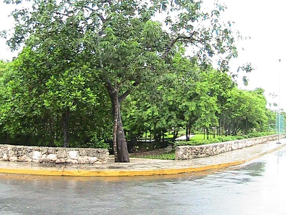 8 S Circuito De La Costa Cancun, TX 00000