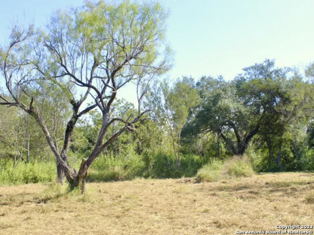 185 E Short Meadow Drive Lytle, TX 78052