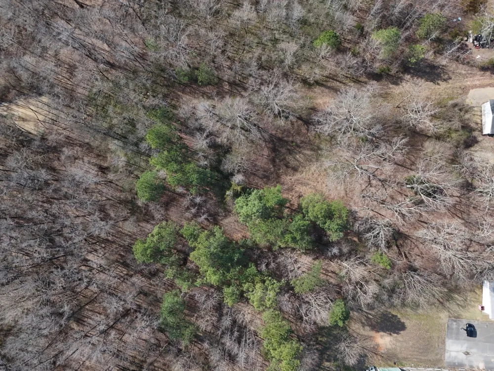 0 Powers Dr Lexington, TN 38351