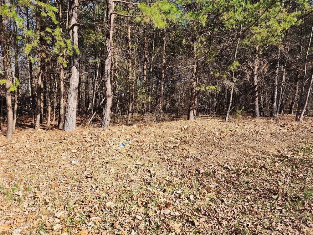 00 Golf Course Road Pilot Mountain, NC 27041