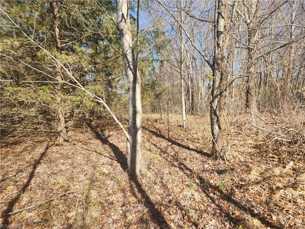 00 Golf Course Road Pilot Mountain, NC 27041