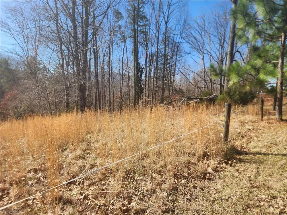00 Golf Course Road Pilot Mountain, NC 27041