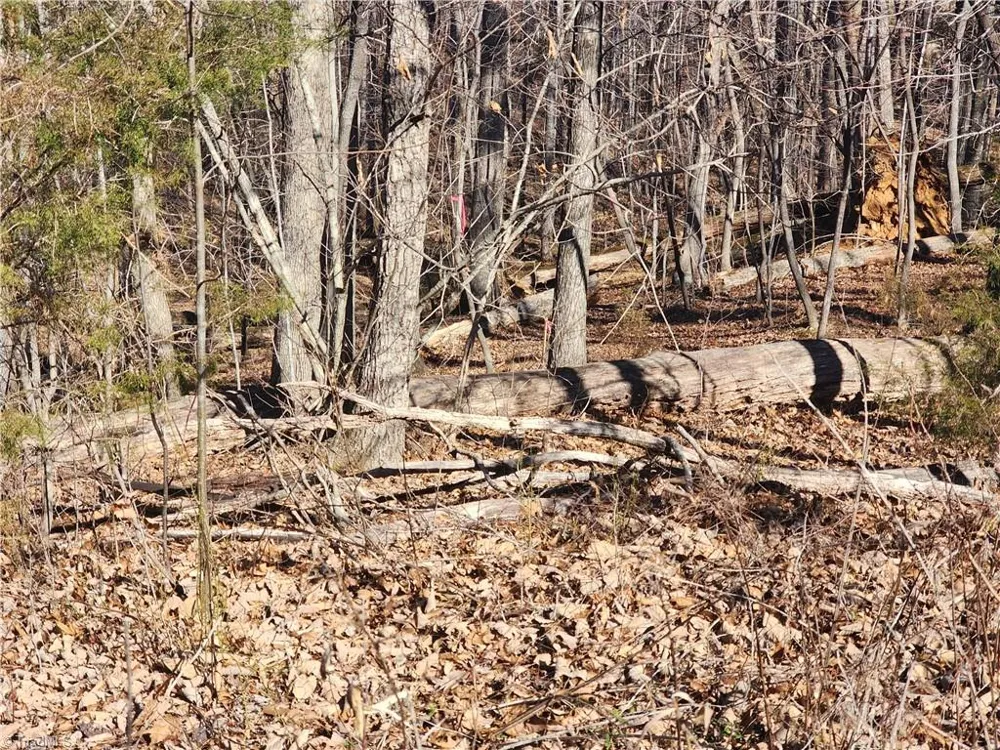 00 Golf Course Road Pilot Mountain, NC 27041